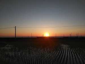 35894303_1776770612412473_1160863436008062976_n