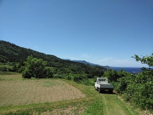 35923726_1776346789121522_2963246431709691904_n