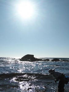 35972002_1776237419132459_7707362080172539904_n