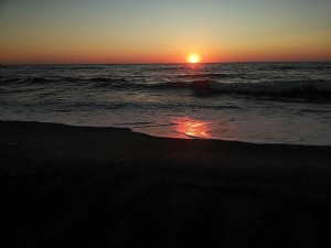 35986865_1776770689079132_7372433533928734720_n