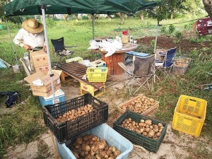 36465375_1792243504198517_4436351159753506816_n