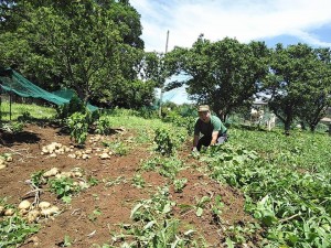 36494478_1792243154198552_6947772903144292352_n