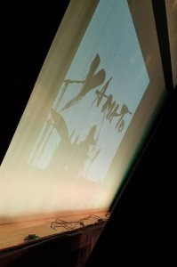 36766219_2092577004115557_229061077025947648_n