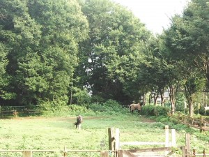 37803636_1829194890503378_8112966993331617792_n