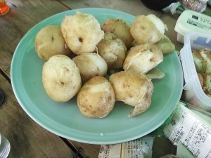 DSC_2617_20180703210437