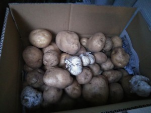 DSC_2621_20180703210450