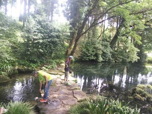 DSC_2701_20180712161216