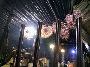 48369531_2025952010827664_2957425552727736320_n