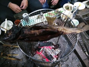 48386737_2025934527496079_6690544039021772800_n