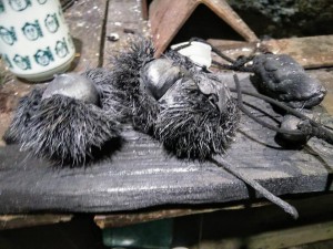 48391294_2025951910827674_1215908720421109760_n