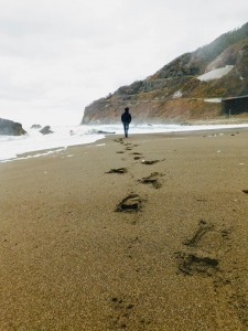 48378816_2048028048620060_8844867439620521984_n