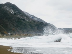 49070742_2048027788620086_8615891828148797440_n