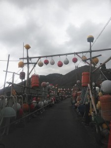 49157262_2048030365286495_3781893470642241536_n