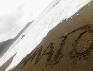 49315615_2048027431953455_5381296002697265152_n