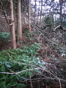 49344298_2048029755286556_1166751239170424832_n