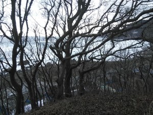 49376454_2048029931953205_8700249920759660544_n