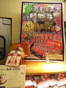 49517044_2044278175661714_7456483329492123648_n