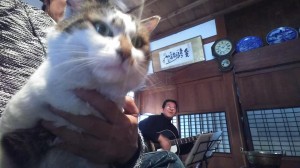 49671124_2052116798211185_1377052891184889856_n