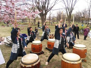 54230764_2156113024478228_6231726366555897856_n