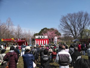 54428399_2155887931167404_2113805778639912960_n