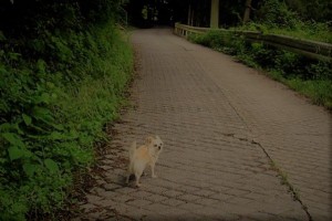 59168504_2223485577740972_7139217290792271872_n