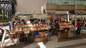 59418177_2233643650058498_3166617698725527552_n