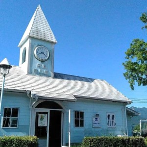 61492045_2273784919377704_7200822978836168704_n