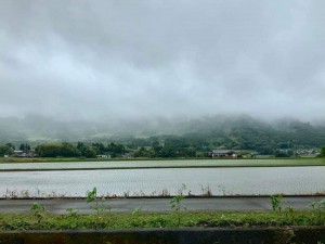 61568968_2273785026044360_7901845187247210496_n