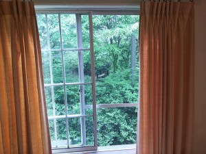 61630158_2273784862711043_9064374361896517632_n